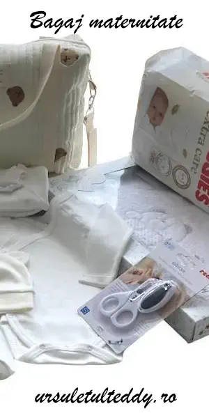 Bagajul pentru maternitate